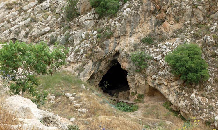 The international burial site at Qafzeh in Israel